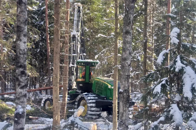 metsäkone hakkuutyössä