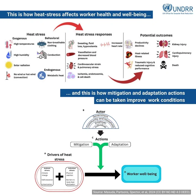 Heat stress impact mechanisms, and mitigation and adaptation measures