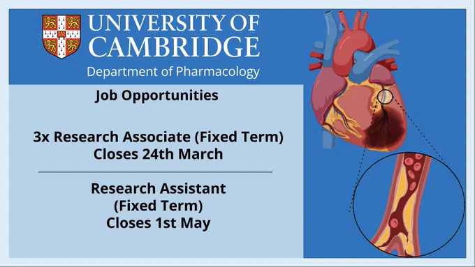 Job advert 20/3/24