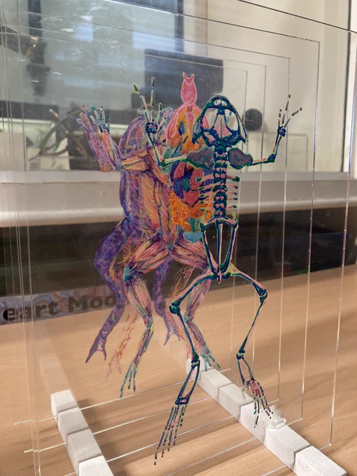 Art made up of several acrylic sheets, each with a different layer of a dissected frog.