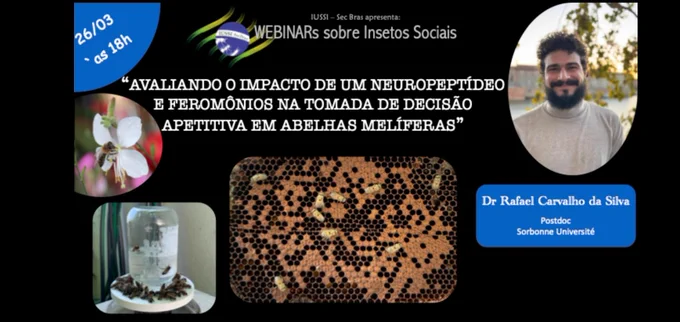 A participação será pela plataforma Microsoft Teams através do seguinte link:
https://teams.microsoft.com/l/meetup-join/19:meeting_YjkxZjVmMmUtNmVkMi00MzY5LWE0ZDEtNzBmMjRlMDgzMjRm@thread.v2/0?context={