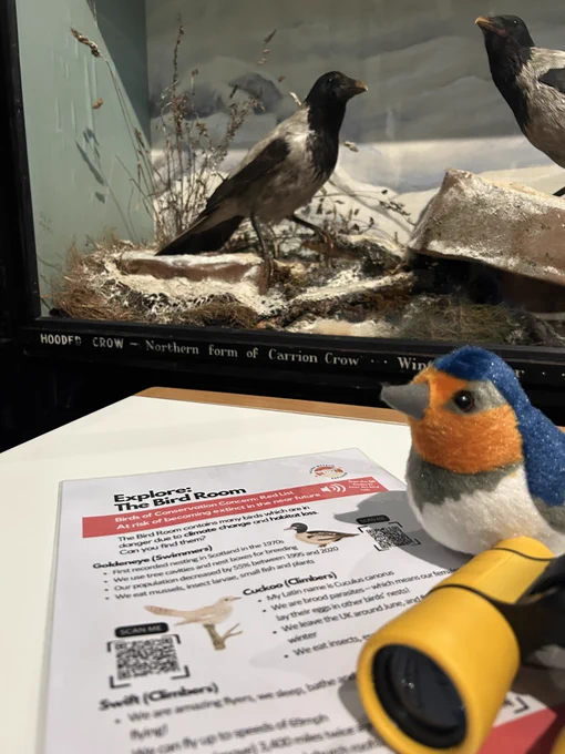 Toy bird, trail and binoculars in Bird Room
