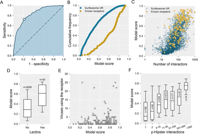Fig 3. Series of graphs depicting predictability of virus receptors. See the full caption at: https://journals.plos.org/plospathogens/article?id=10.1371/journal.ppat.1012021