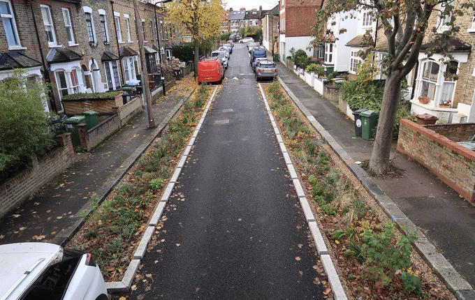 Esther Road, like many urban streets, faced the challenge of flooding during heavy rains in 2021. The Esther Road Rain Gardens emerged as a response, not only to mitigate floods but to transform urban spaces into resilient, sustainable ecosystems. We've planted a total of 83m2 of Rain Garden beds, spanning three distinct areas, with more than 550 beautiful plants. 