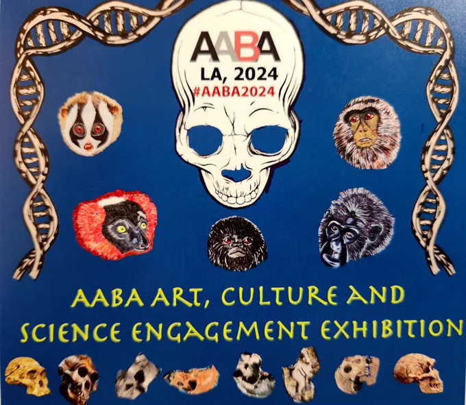 poster graphic with primate faces, hominin skulls and DNA.  Text reads "AABA Art, Culture and Science engagement exhibition"