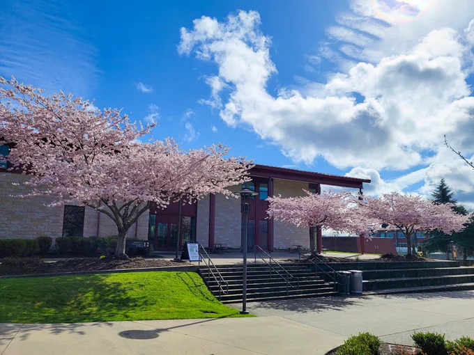 Flowering trees on the Building 12 terrace, seen from the Student Center. Blue sky and white clouds above. 