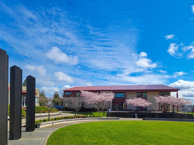 Building 12 and flowering cherry trees seen from the Trustee Plaza, looking across the Campus Commons lawn. Blue sky and white clouds above. 