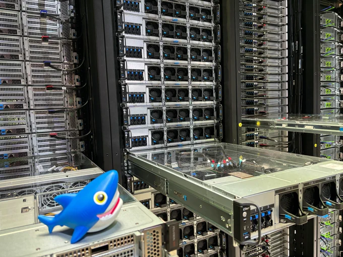Our good friend Sammy hanging out on the racks.