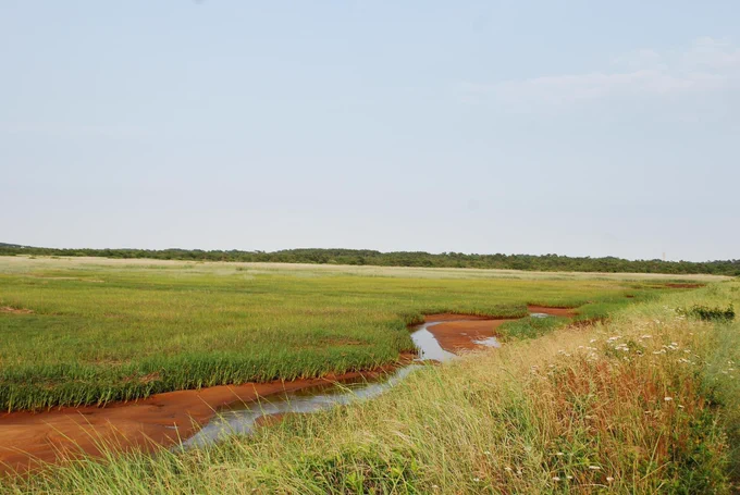 A stream in a marshy area of Hatches Harbor winding through bright red sediment on a clear day.
