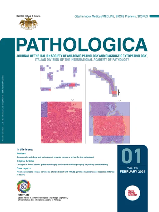 Cover image: AI-assisted diagnosis in two slides from prostate needle biopsy. The model correctly classifies cancerous areas in red. (Pepe P et al)