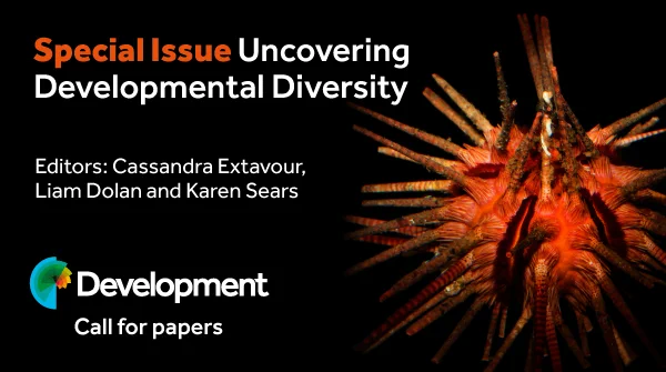 Development Special Issue Call for papers: Uncovering Developmental Diversity