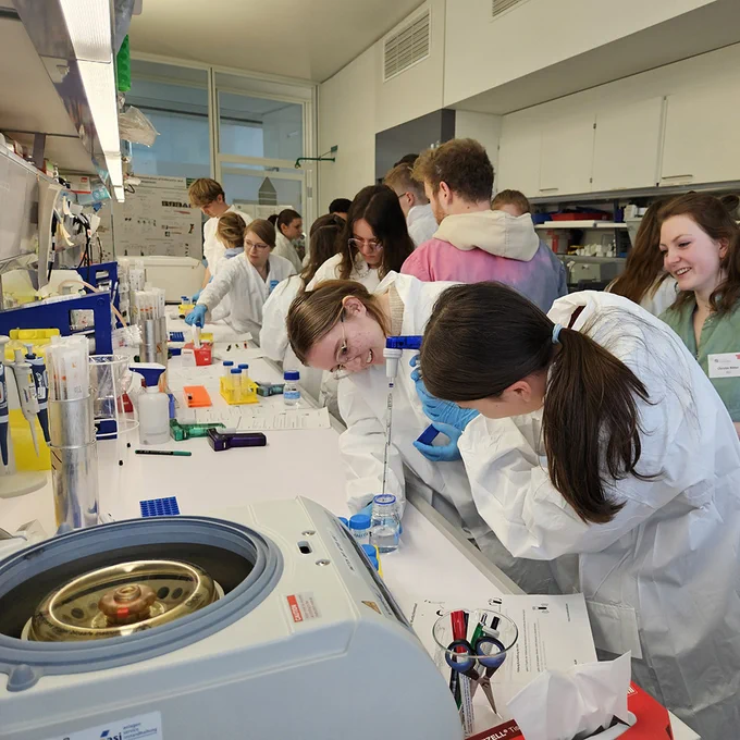 Students isolating DNA in the laboratory.