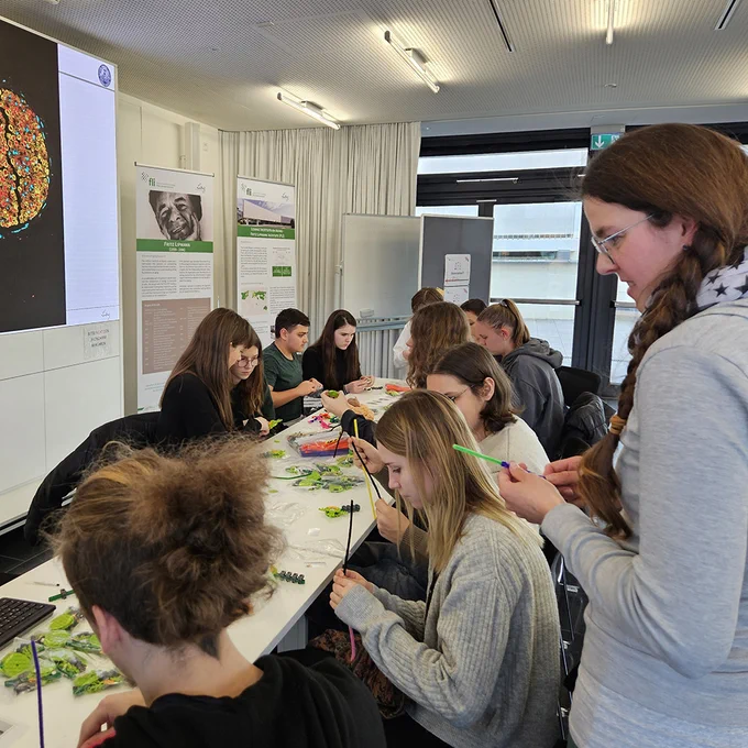 Students at the handicraft station for nerve regeneration.