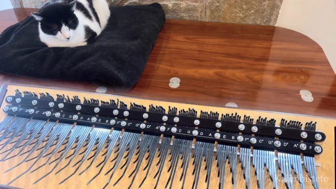 Array Mbira and a moo cat