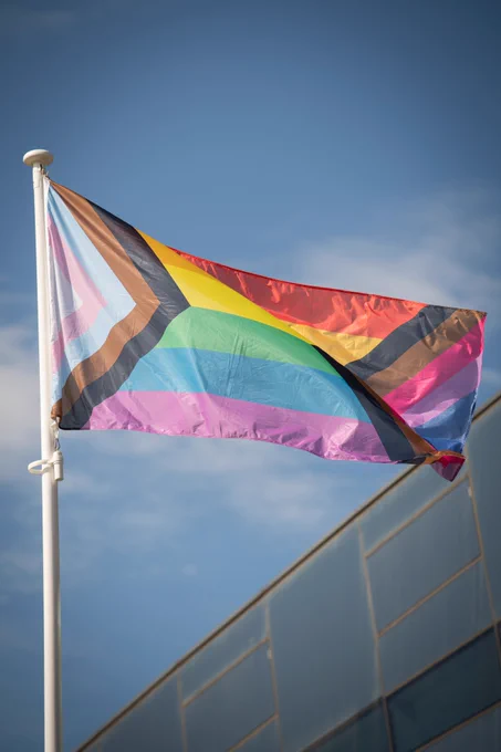 Flag flying at City Hall