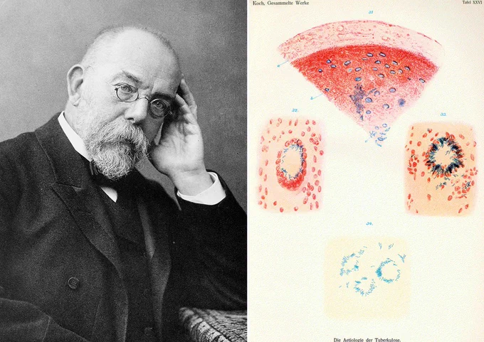 Robert Koch next to his drawing of tuberculosis bacilli