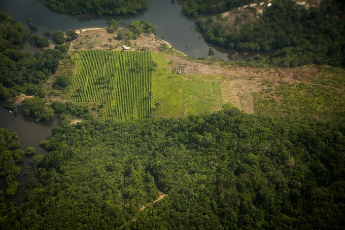 Aerial view of agricultural fields and dense forest in the Amazon Basin