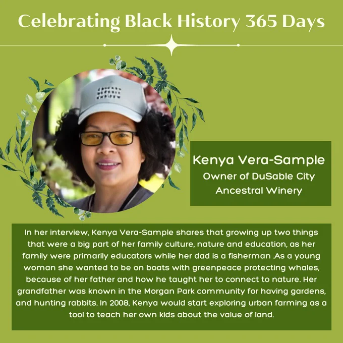 Green background with 1 circular picture of Kenya Vera-Sample, a Black food producer smiling holding an award.  Light and dark green leaves adorn the left and right side of the image. Title light green text reads, “Celebrating Black History 365 Days.” Light green text positioned over dark green rectangular blocks, “Kenya Vera-Sample Owner of DuSable City Ancestral Winery”  More text reads, “In her interview, Kenya Vera-Sample shares that growing up two things that were a big part of her family culture, nature and education, as her family were primarily educators while her dad is a fisherman .As a young woman she wanted to be on boats with greenpeace protecting whales, because of her father and how he taught her to connect to nature. Her grandfather was known in the Morgan Park community for having gardens, and hunting rabbits. In 2008, Kenya would start exploring urban farming as a tool to teach her own kids about the value of land.”