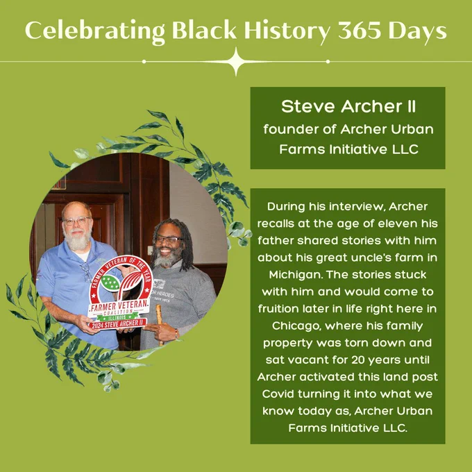 Green background with 1 circular picture of Steve Archer a light-skinned Black person smiling holding an award. Light and dark green leaves adorn the left and right side of the image. Title light green text reads, “Celebrating Black History 365 Days.” Light green text sits over dark green rectangles, “Steve Archer II founder of Archer Urban Farms Initiative LLC.” More text reads, “During his interview, Archer recalls at the age of eleven his father shared stories with him about his great uncle's farm in Michigan. The stories stuck with him and would come to fruition later in life right here in Chicago, where his family property was torn down and sat vacant for 20 years until Archer activated this land post Covid turning it into what we know today as, Archer Urban Farms Initiative LLC.”