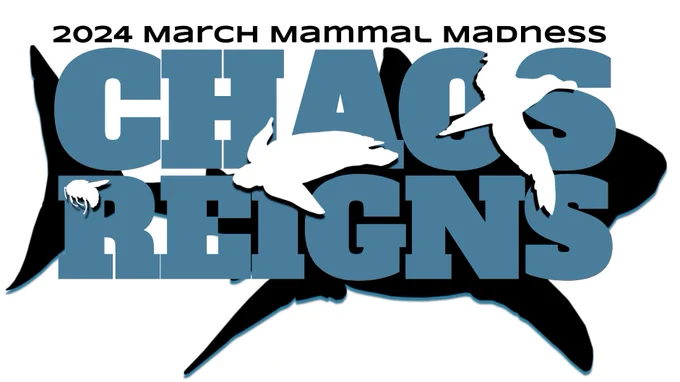 2024 March Mammal Madness Chaos Reigns Logo with shark, turtle, skua, & bee. 