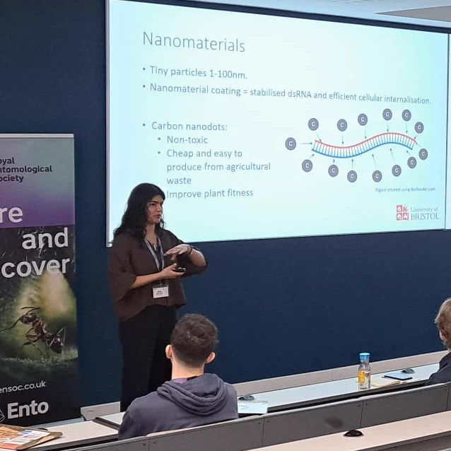 Daisy Furrokh sharing research on nanomaterial-facilitated gene silencing for pollinator health.
