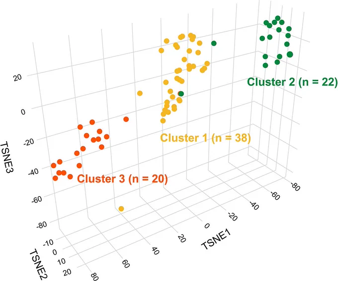 Comprehensive molecular characterization of a cohort of 126 pathologically confirmed meningeal solitary fibrous tumors, including DNA methylation profiling, revealed the presence of three distinct methylation clusters: Cluster 1 (n = 38), Cluster 2 (n = 22), and Cluster 3 (n = 20). These methylation clusters were significantly associated with NAB2::STAT6 fusion breakpoints (fusion type), TERT promoter mutation status, histologic phenotype, and metastasis-free survival.