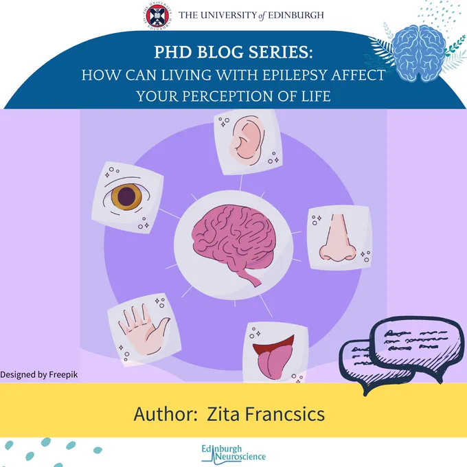 Poster for PhD blog series article- 'How can living with epilepsy affect your perception of life'. Image of an illustration with a brain showing it's connection to our sense organs (eyes, ears, nose, skin, tongue). Author- Zita Francsics