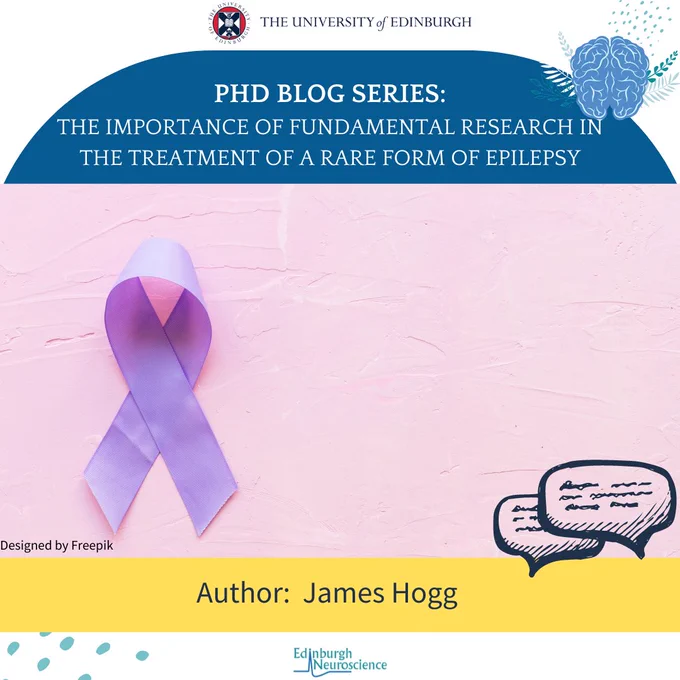 Poster for PhD blog series article- 'The Importance of Fundamental Research in the Treatment of a Rare Form of Epilepsy'. Image of a purple ribbon, a symbol of epilepsy awareness. Author- James Hogg