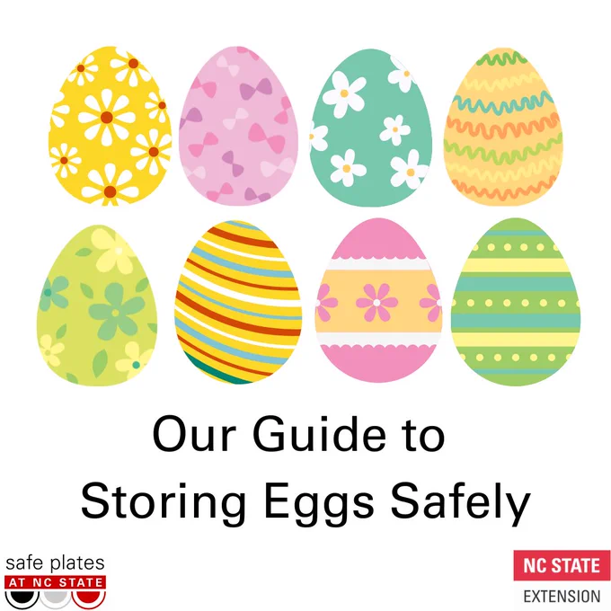 Our Guide to Storing Eggs Safely