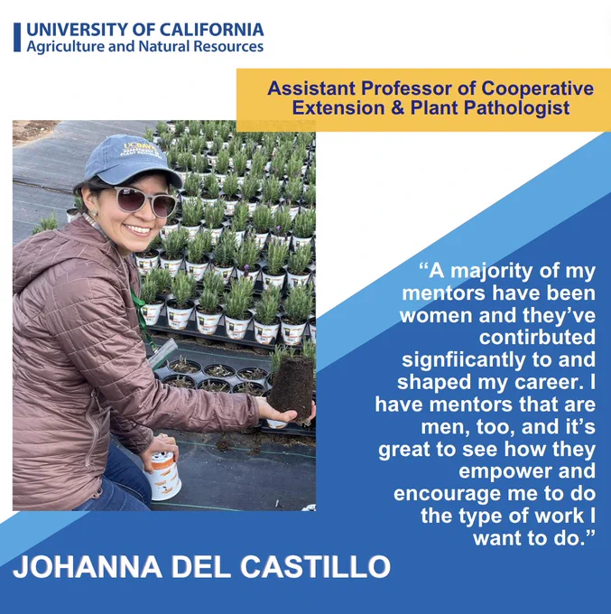 Johanna Del Castillo