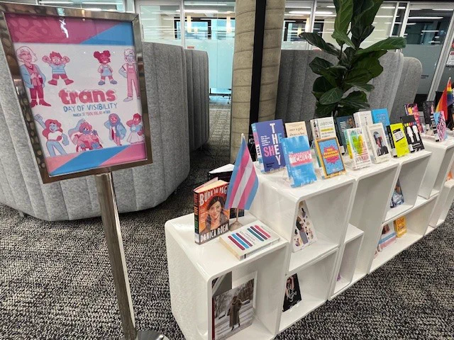 White boxes, located on carpet, displaying a variety of books for Trans Day of Visibility. Large sign next to boxes promoting Trans Day for Visibility. Trans flag displayed on top of display, with large green plant in background.