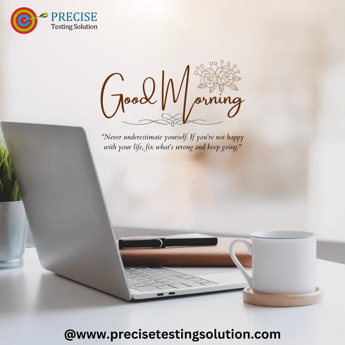 The user seeks a compelling caption for a Precise Testing Solution , seeking information about the company and its audience.