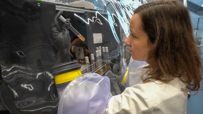 In the anaerobic chamber, Lisa Maier investigates intestinal bacteria that are only viable in the absence of oxygen and have therefore been difficult to research until now. © University of Tübingen / CMFI © Universität Tübingen / CMFI
