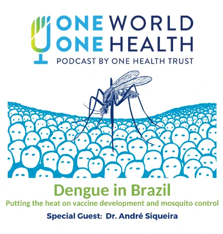 The title of the podcast is "Dengue in Brazil; Putting the heat on vaccine development and mosquito control."