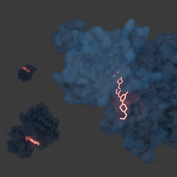 X-ray Crystal Structure of Dasatinib (BMS-354825) Bound to Activated ABL Kinase Domain

PDB ID: 2GQG
Method: X-ray diffraction
Resolution: 2.4Å
Released: 21 Nov 2006
DOI: 10.2210/pdb2gqg 