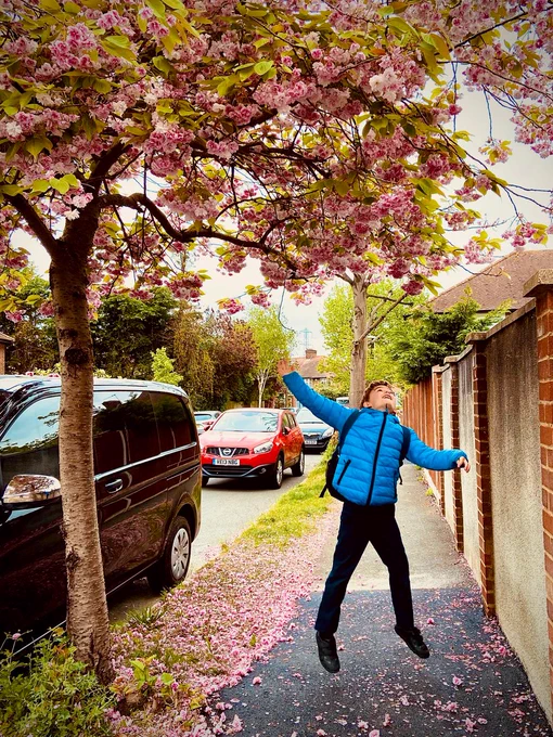 School boy enjoying the spring blossom on his way to school.