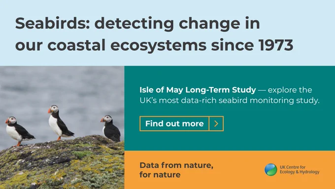 Photo of puffins and the words Seabirds: detecting change in our coastal ecosystems since 1973
