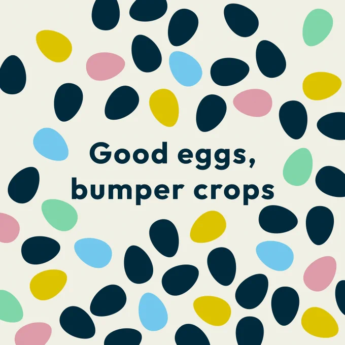 Good eggs, bumper crops