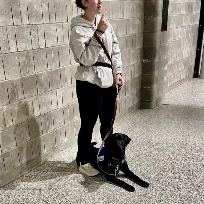 A black labrador retriever lays between a raisers legs