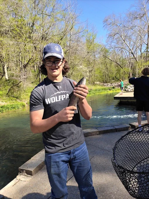 trout