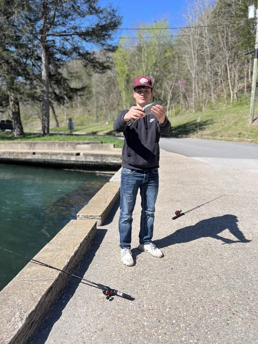 trout