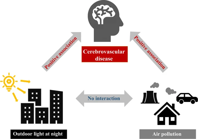 Graphic abstract in Wu and Shen et al.
