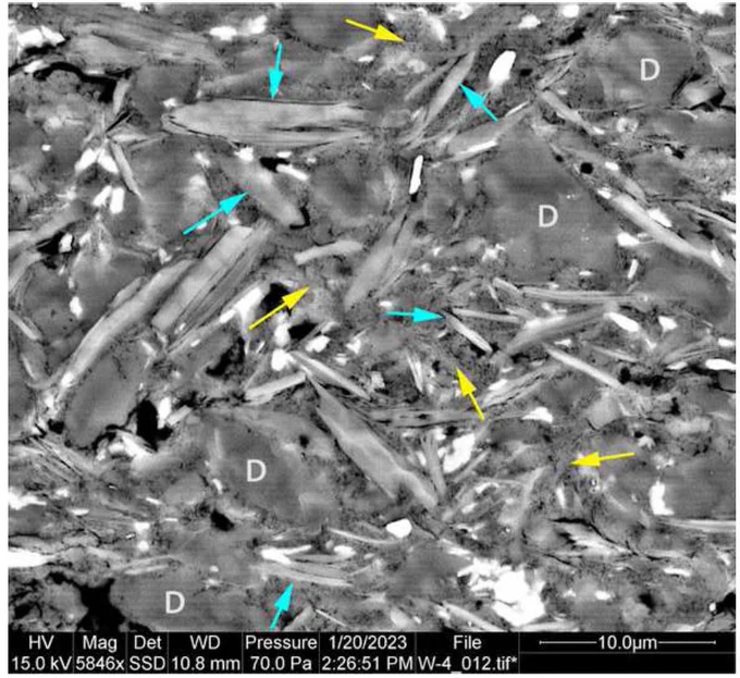 https://pubs.geoscienceworld.org/jsedres/issue/94/1