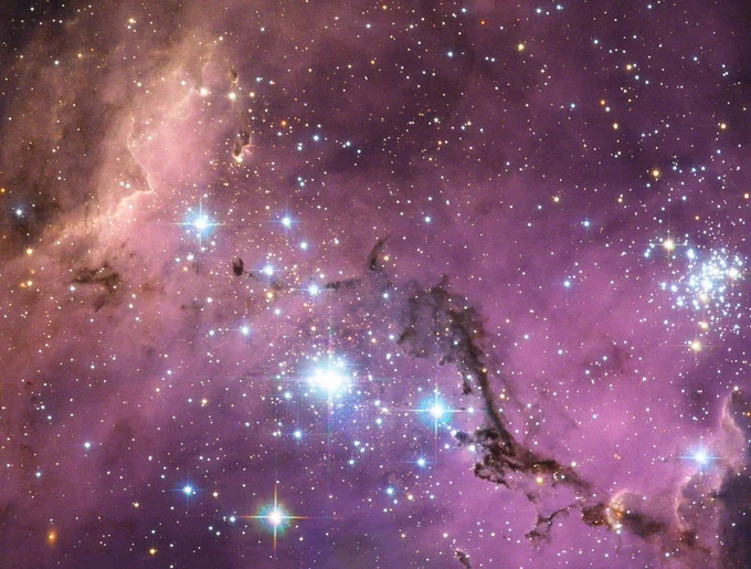 The Large magellanic cloud shines in purple with black streaks in this image from @NASAHubble. The gas and dust is purple and new stars shine in white and blue.