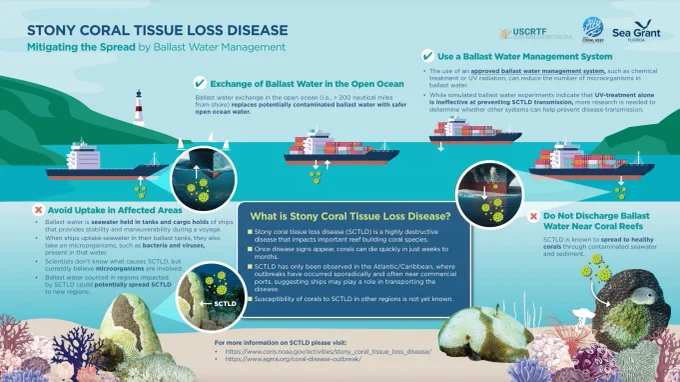 infographic depicting how ballast water uptake and discharge can lead to the spread of Stony Coral Tissue Loss Disease