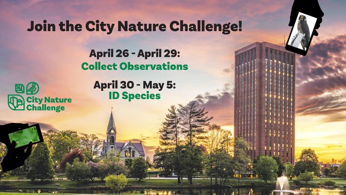Photo of Du Bois Library at sunset. Silhouettes of hands holding phones taking pictures of a falcon and a plant. Text: "Join the City Nature Challenge! April 26-April 29: Collect Observations. April 30-May 5: ID Species."