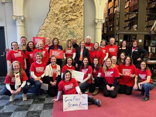 Twenty-seven people, mostly wearing red Moms Demand Action shirts, smile at the camera while holding signs that say things like “Gun Free School Zones” and “Moms Demand Action”. Behind them is a ridged map out of the state of New Hampshire, pedestals, and stairs/ high stacks of library books.