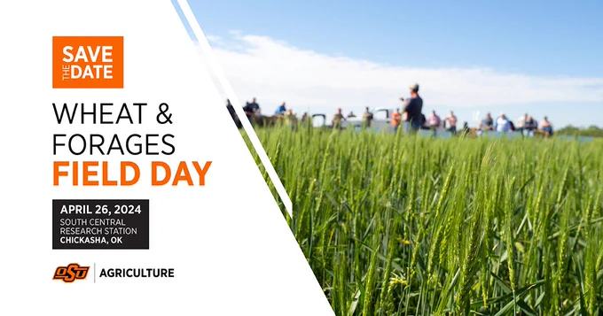Save the date for Wheat and Forages Field Day! April 26, 2024 at the South Central Research Station in Chickasha, Oklahoma.