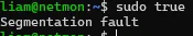 Bash shell that says:
liam@netmon:~$ sudo true
Segmentation fault