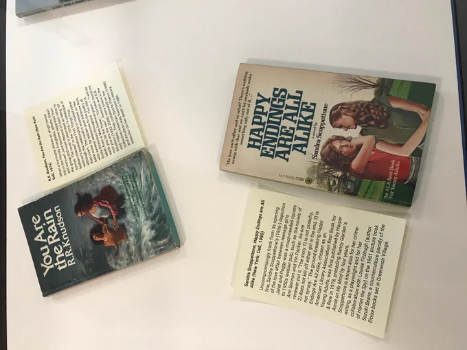 Display case showing You Are the Rain by R.R. Knudson and Sandra Scoppettone's Happy Endings are All Alike